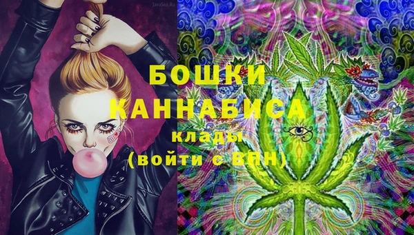 гидра Алзамай