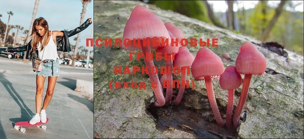 гидра Алзамай